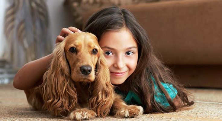 8 solutions to prevent pet allergy