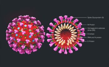 Corona is not only a virus it is a powerful biochemical weapon