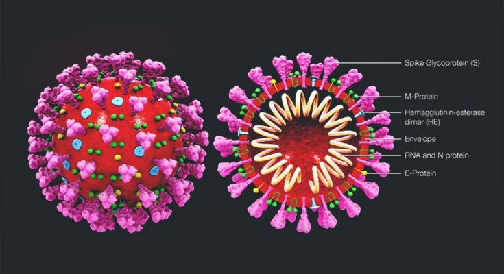 Corona is not only a virus it is a powerful biochemical weapon