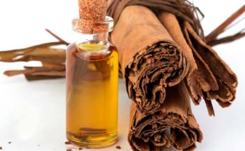 Facial oil works as a natural beauty ingredient