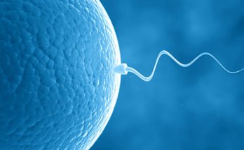 creating-artificial-sperm-and-eggs