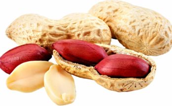 8 Basic Benefits of the Nutritious Groundnuts