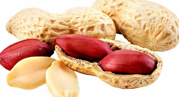 8 Basic Benefits of the Nutritious Groundnuts