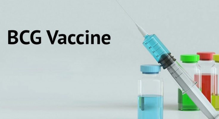 BCG vaccine may be an alternative to fight against coronavirus
