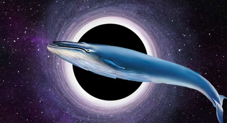 Blue Whale Game or Black Hole Trap?