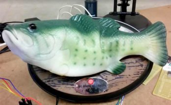 Developer Brian Kane hacked Alexa to speak out of a fish robot