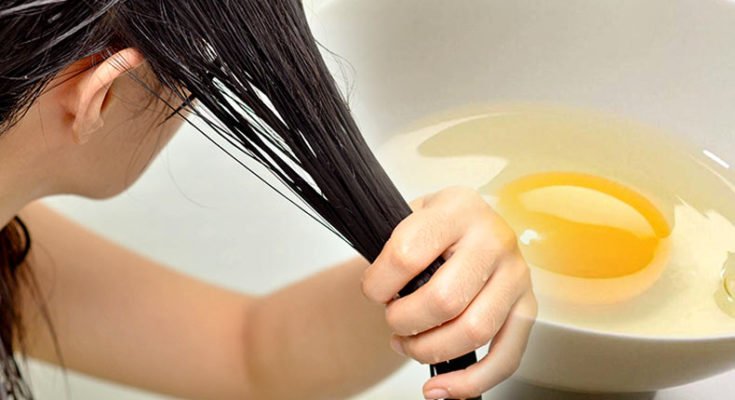 Don't worry for your dry hair – treat it naturally
