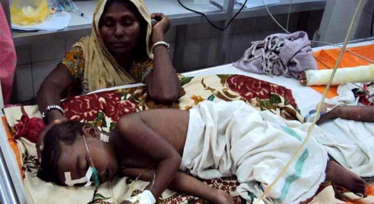 Litchi – the reason behind child-death at Muzaffarpur
