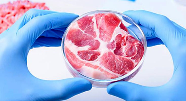 Meat can be cultivated without killing animals