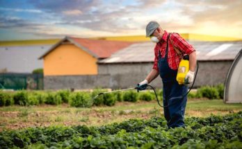 Use of toxic pesticide is prohibited in California