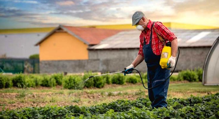 Use of toxic pesticide is prohibited in California