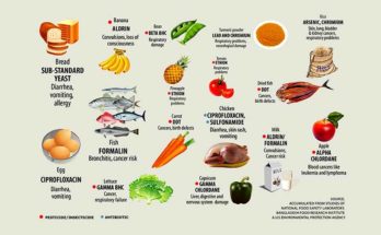 The danger of Food Adulteration is hovering on our head