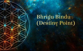 Analysis of Destiny Point(Bhrigu Bindu) by Prof Dr Koosal Sen