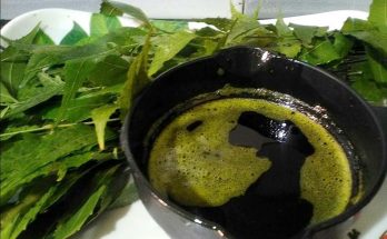 10 Amazing Beauty Benefits of Neem Oil