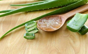 10 important benefits of Aloe Vera Gel for the nourishment of Skin & Hair