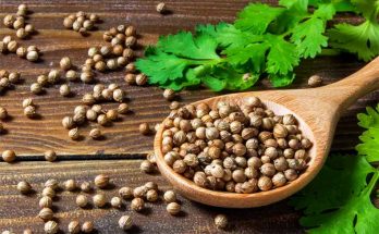 Coriander, an essential ingredient of the kitchen, solves multiple diseases