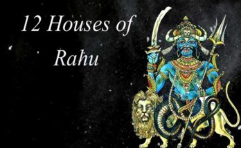 Effect of Rahu in 12 different houses of horoscope