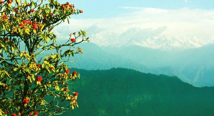 Icche Gaon – a place to enjoy natural beauties and warmth homestays