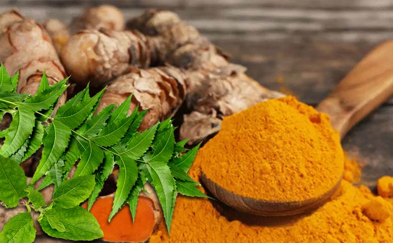 Benefits turmeric - neem health