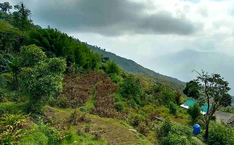 This small hamlet arranged by the Letsgo Ecotours near Kalingping