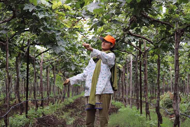 Jyotsna, taking care of her farm.