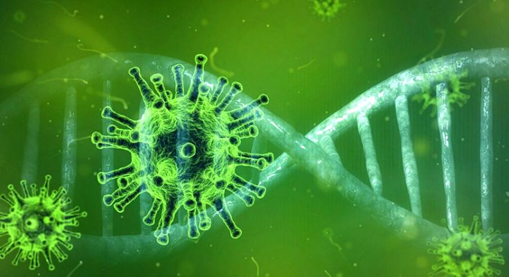 Scientists say not to panic despite D614G mutation in coronavirus