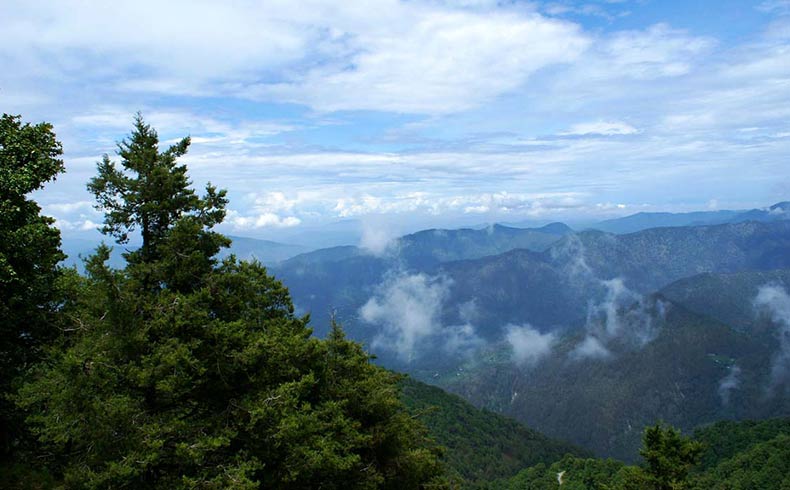The unique beauty of nature is scattered in every particle of Ranikhet.