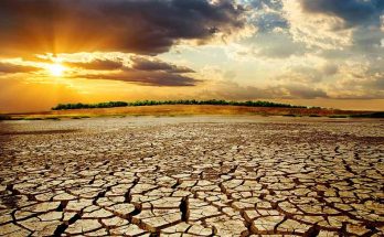 Possibility of slow-down in Climate Change rate for the Next Decade