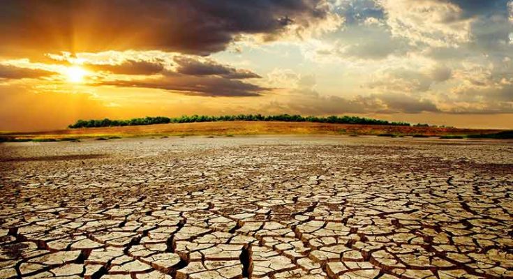 Possibility of slow-down in Climate Change rate for the Next Decade