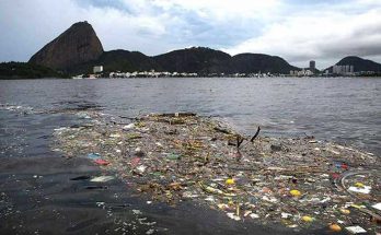 Sewage found in Rio's Olympic venue – WHO and sailing body look for virus test
