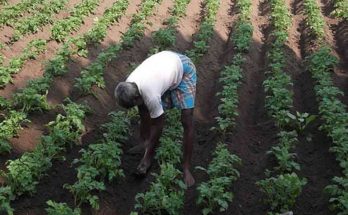 Supreme Court ordered West Bengal Govt. to return land to Singur farmers