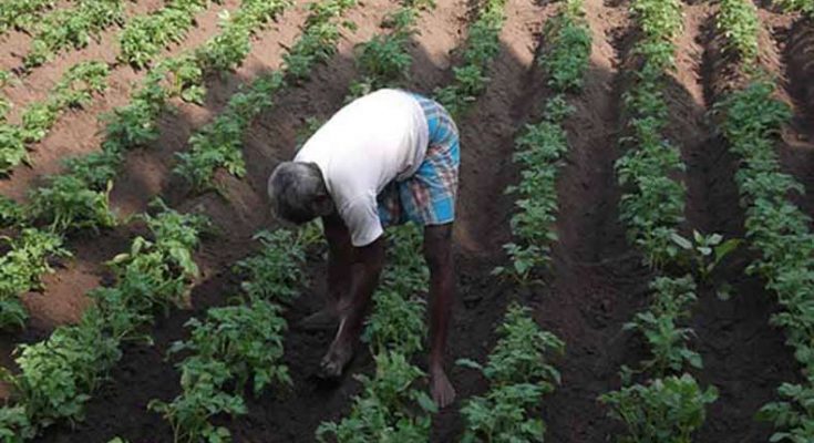 Supreme Court ordered West Bengal Govt. to return land to Singur farmers