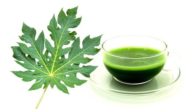 papaya leaf extract