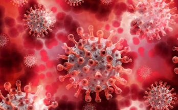 Coroanavirus is a biological weapon – secret documents of China disclosed