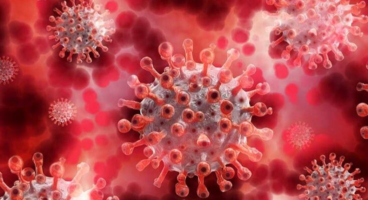 Coroanavirus is a biological weapon – secret documents of China disclosed