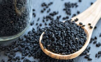 Black Seed extract can be a source of potential medicine for AIDS