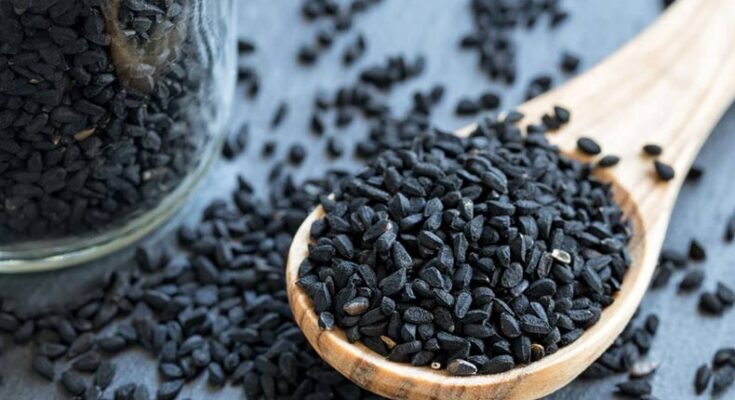 Black Seed extract can be a source of potential medicine for AIDS