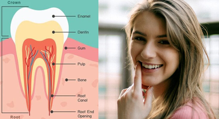 Modern way of tooth engineering with remineralization