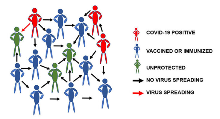 Rethinking needed for herd immunity against COVID-19