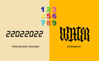 What does Palindromic Number and Ambigram mean?