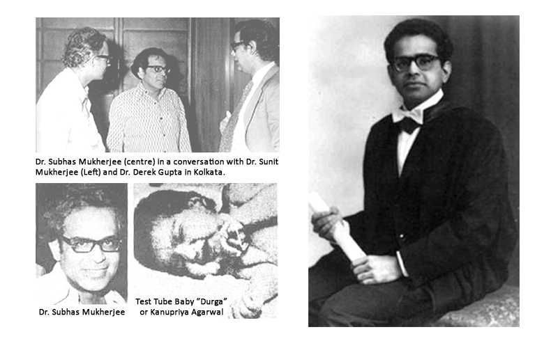 Work process of Dr. Mukherjee