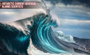 Antarctic Current Reversal: A Saline Surge Signals Global Alarm